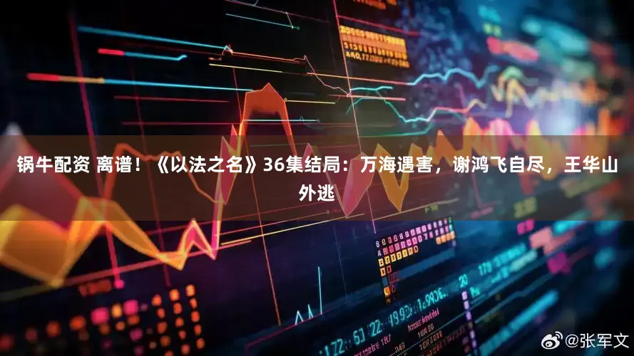 锅牛配资 离谱！《以法之名》36集结局：万海遇害，谢鸿飞自尽，王华山外逃