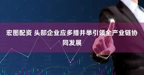 宏图配资 头部企业应多措并举引领全产业链协同发展